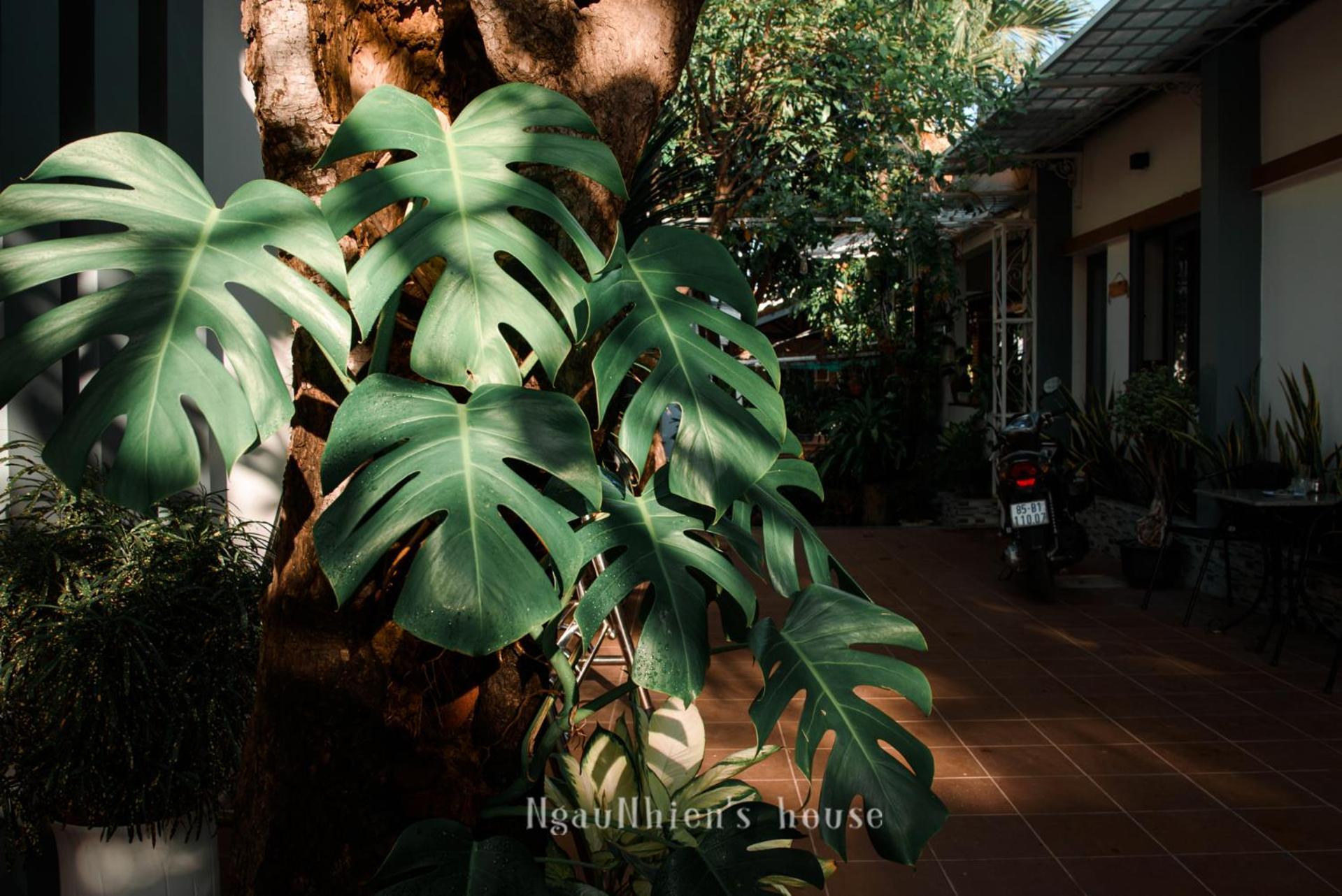Ngaunhien'S House - Homestay Phan Rang Dış mekan fotoğraf