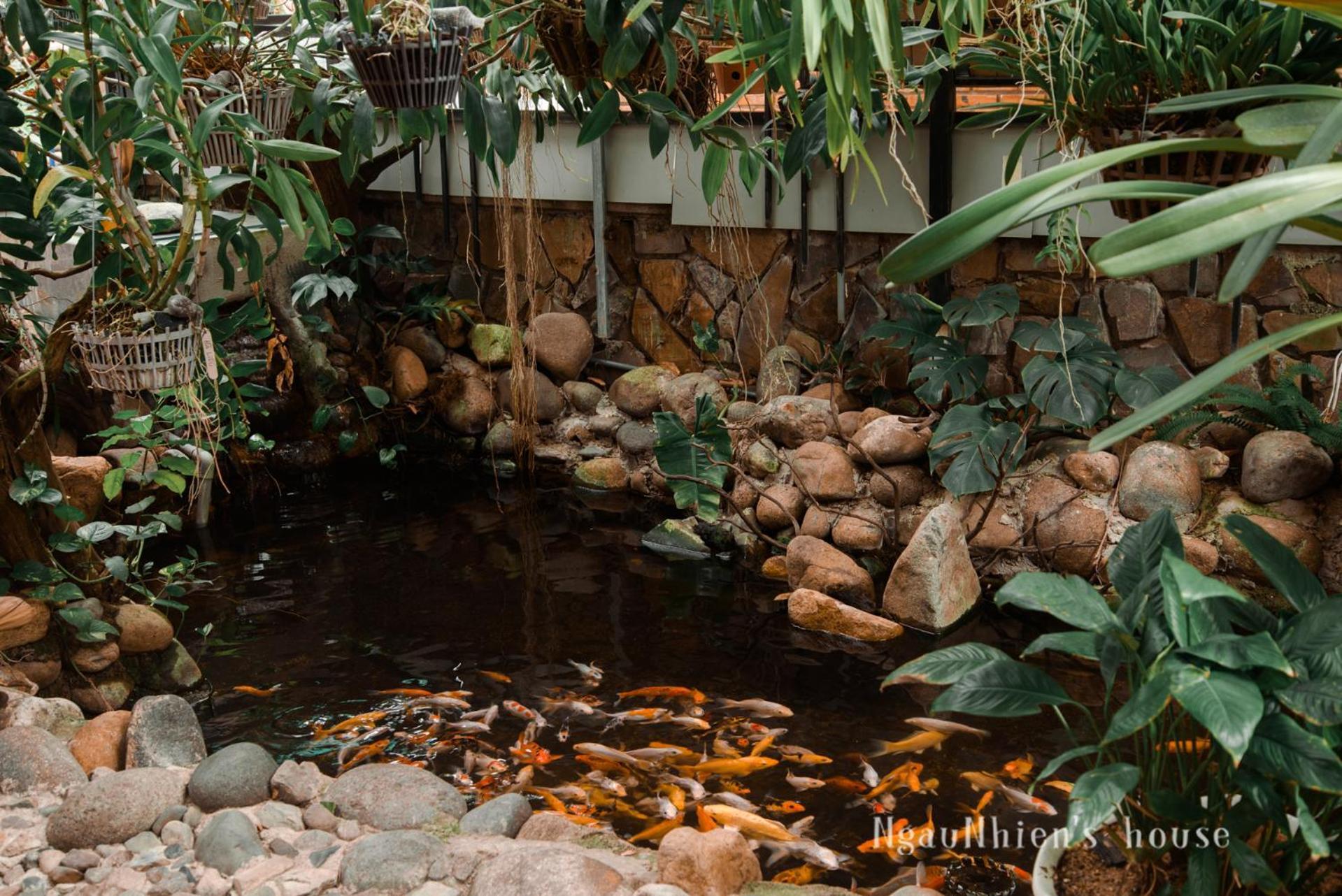 Ngaunhien'S House - Homestay Phan Rang Dış mekan fotoğraf