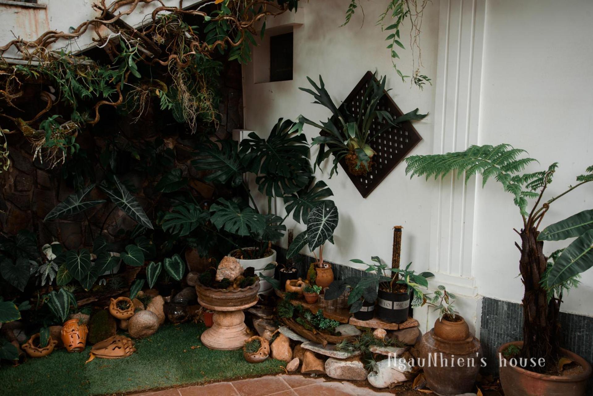 Ngaunhien'S House - Homestay Phan Rang Dış mekan fotoğraf