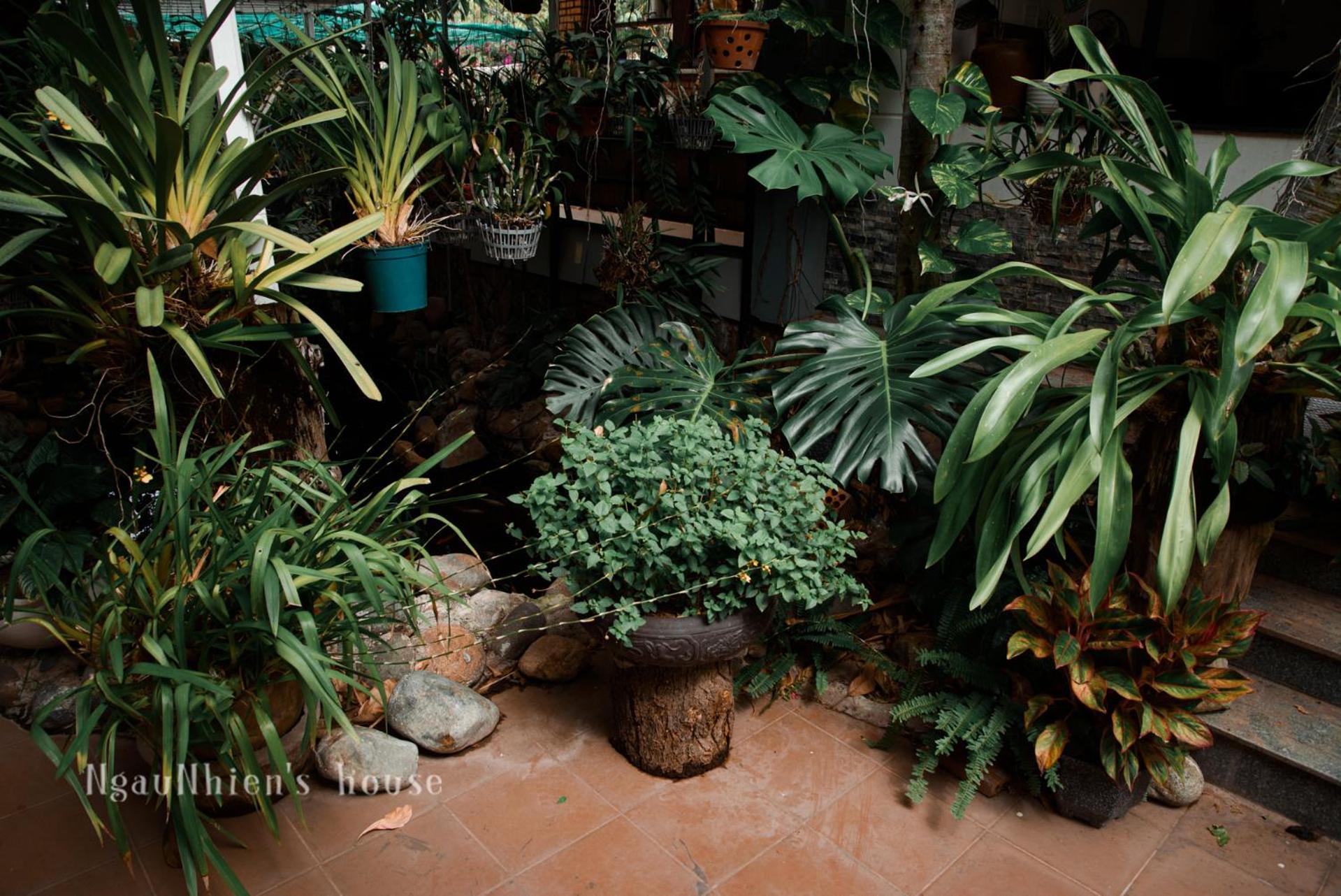 Ngaunhien'S House - Homestay Phan Rang Dış mekan fotoğraf