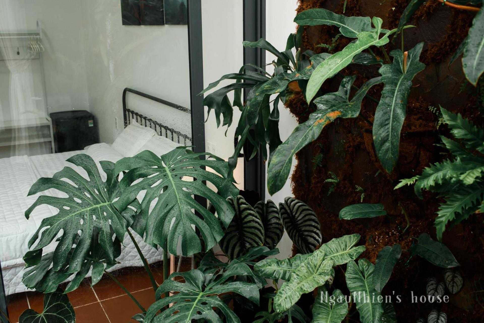 Ngaunhien'S House - Homestay Phan Rang Dış mekan fotoğraf
